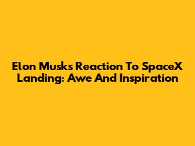 Elon Musk's Reaction To SpaceX Landing: Awe And Inspiration