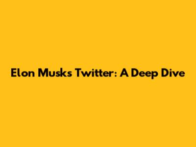 Elon Musk's Twitter: A Deep Dive