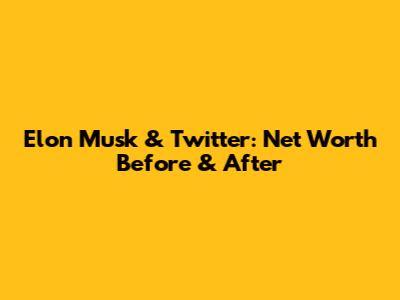 Elon Musk & Twitter: Net Worth Before & After