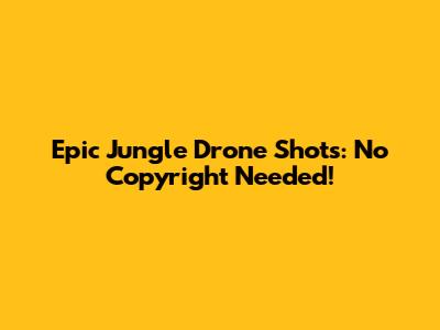 Epic Jungle Drone Shots: No Copyright Needed!