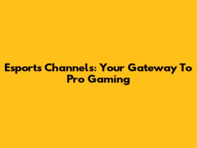 Esports Channels: Your Gateway To Pro Gaming