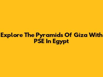 Explore The Pyramids Of Giza With PSE In Egypt