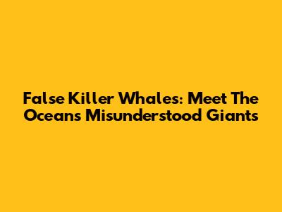 False Killer Whales: Meet The Ocean's Misunderstood Giants