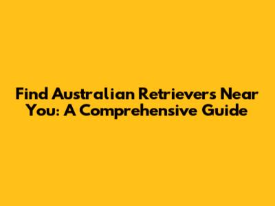 Find Australian Retrievers Near You: A Comprehensive Guide