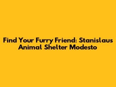 Find Your Furry Friend: Stanislaus Animal Shelter Modesto