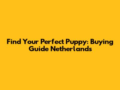Find Your Perfect Puppy: Buying Guide Netherlands
