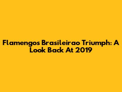 Flamengo's Brasileirao Triumph: A Look Back At 2019