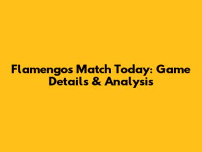 Flamengo's Match Today: Game Details & Analysis