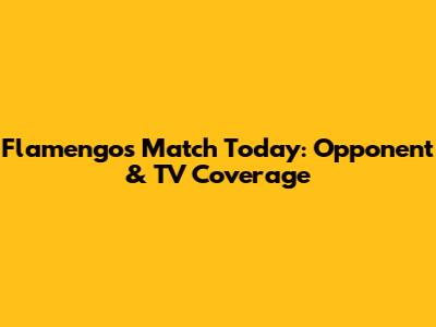 Flamengo's Match Today: Opponent & TV Coverage