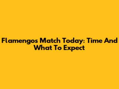 Flamengo's Match Today: Time And What To Expect