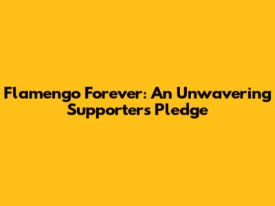 Flamengo Forever: An Unwavering Supporter's Pledge