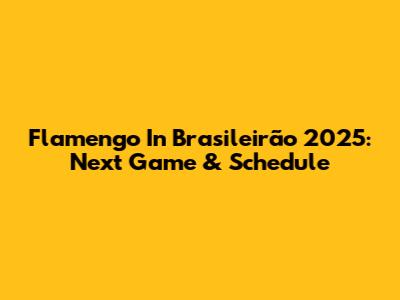 Flamengo In Brasileirão 2025: Next Game & Schedule