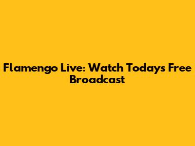 Flamengo Live: Watch Today's Free Broadcast
