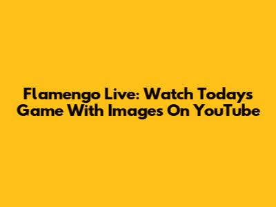 Flamengo Live: Watch Today's Game With Images On YouTube