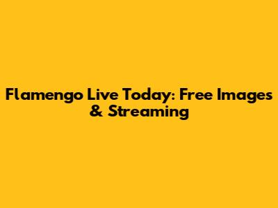 Flamengo Live Today: Free Images & Streaming