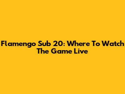 Flamengo Sub 20: Where To Watch The Game Live