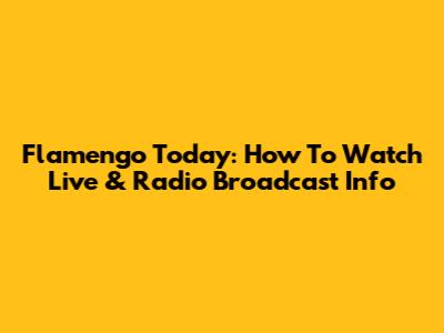 Flamengo Today: How To Watch Live & Radio Broadcast Info