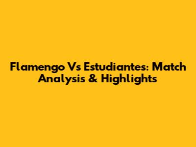 Flamengo Vs Estudiantes: Match Analysis & Highlights