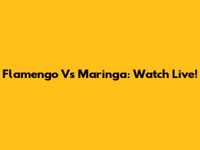 Flamengo Vs Maringa: Watch Live!