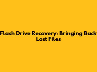 Flash Drive Recovery: Bringing Back Lost Files
