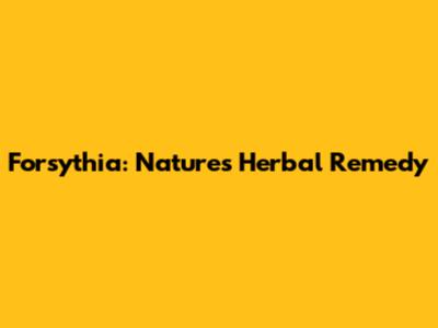 Forsythia: Nature's Herbal Remedy