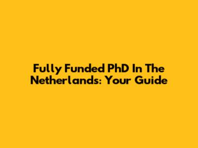 Fully Funded PhD In The Netherlands: Your Guide