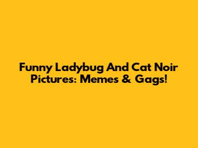 Funny Ladybug And Cat Noir Pictures: Memes & Gags!