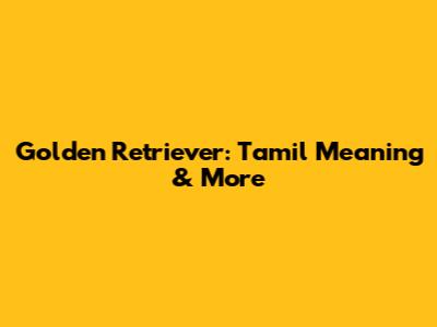 Golden Retriever: Tamil Meaning & More