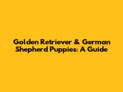 Golden Retriever & German Shepherd Puppies: A Guide