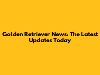 Golden Retriever News: The Latest Updates Today
