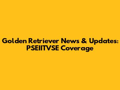 Golden Retriever News & Updates: PSEIITVSE Coverage
