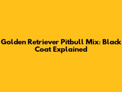 Golden Retriever Pitbull Mix: Black Coat Explained