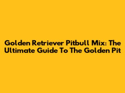 Golden Retriever Pitbull Mix: The Ultimate Guide To The Golden Pit