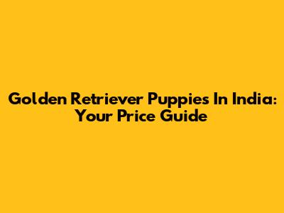 Golden Retriever Puppies In India: Your Price Guide