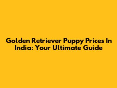 Golden Retriever Puppy Prices In India: Your Ultimate Guide