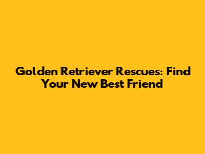 Golden Retriever Rescues: Find Your New Best Friend