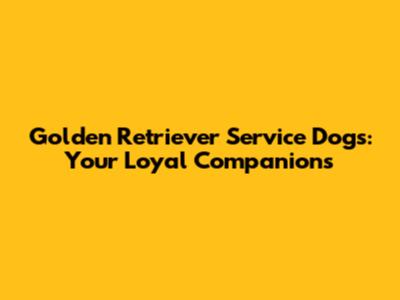 Golden Retriever Service Dogs: Your Loyal Companions