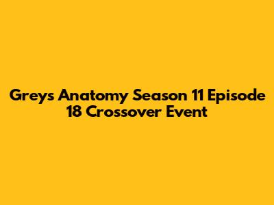 Grey's Anatomy Season 11 Episode 18 Crossover Event