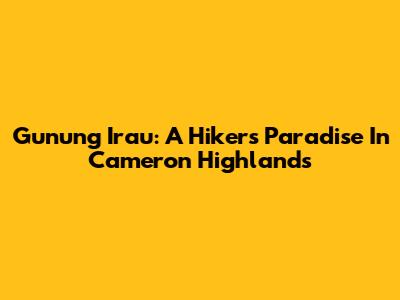 Gunung Irau: A Hiker's Paradise In Cameron Highlands