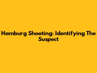 Hamburg Shooting: Identifying The Suspect