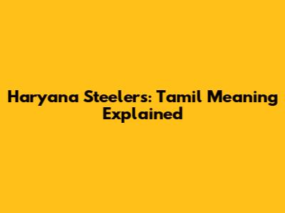 Haryana Steelers: Tamil Meaning Explained