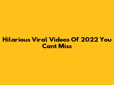 Hilarious Viral Videos Of 2022 You Can't Miss