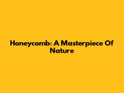 Honeycomb: A Masterpiece Of Nature