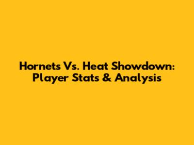Hornets Vs. Heat Showdown: Player Stats & Analysis