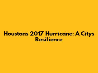 Houston's 2017 Hurricane: A City's Resilience