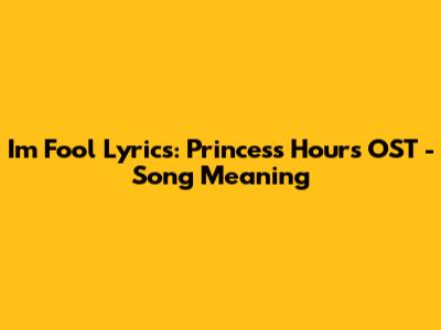 I'm Fool Lyrics: Princess Hours OST - Song Meaning