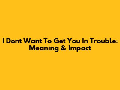 I Don't Want To Get You In Trouble: Meaning & Impact