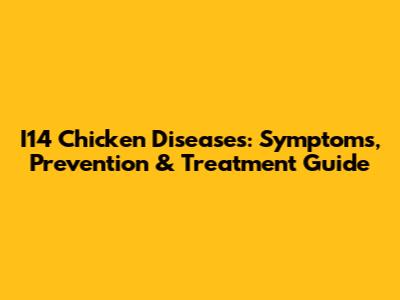I14 Chicken Diseases: Symptoms, Prevention & Treatment Guide