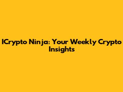 ICrypto Ninja: Your Weekly Crypto Insights