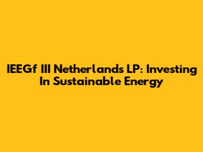 IEEGf III Netherlands LP: Investing In Sustainable Energy